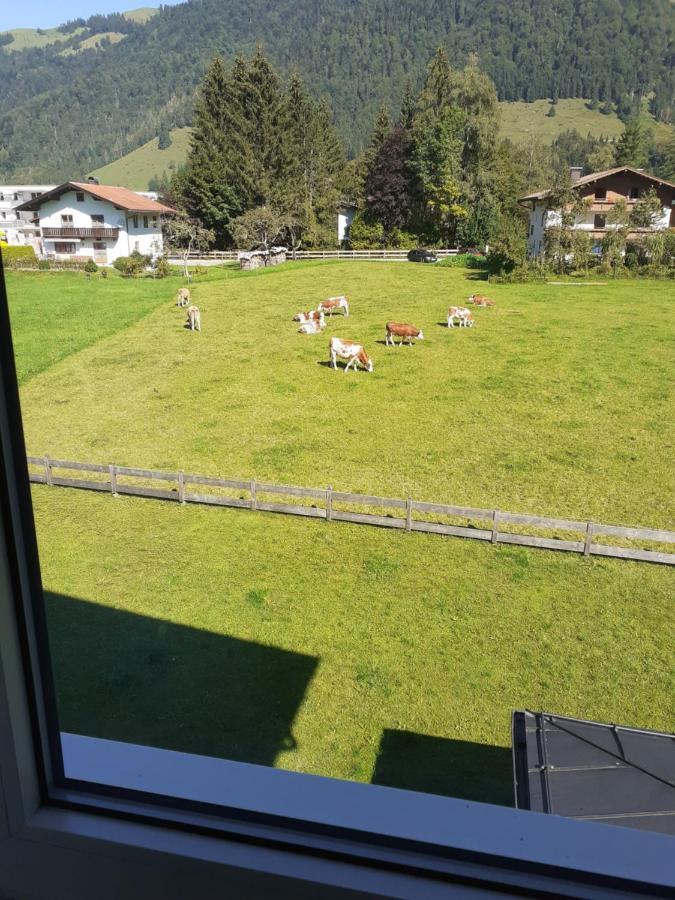 Tirolerhaus Apartment Walchsee Bagian luar foto